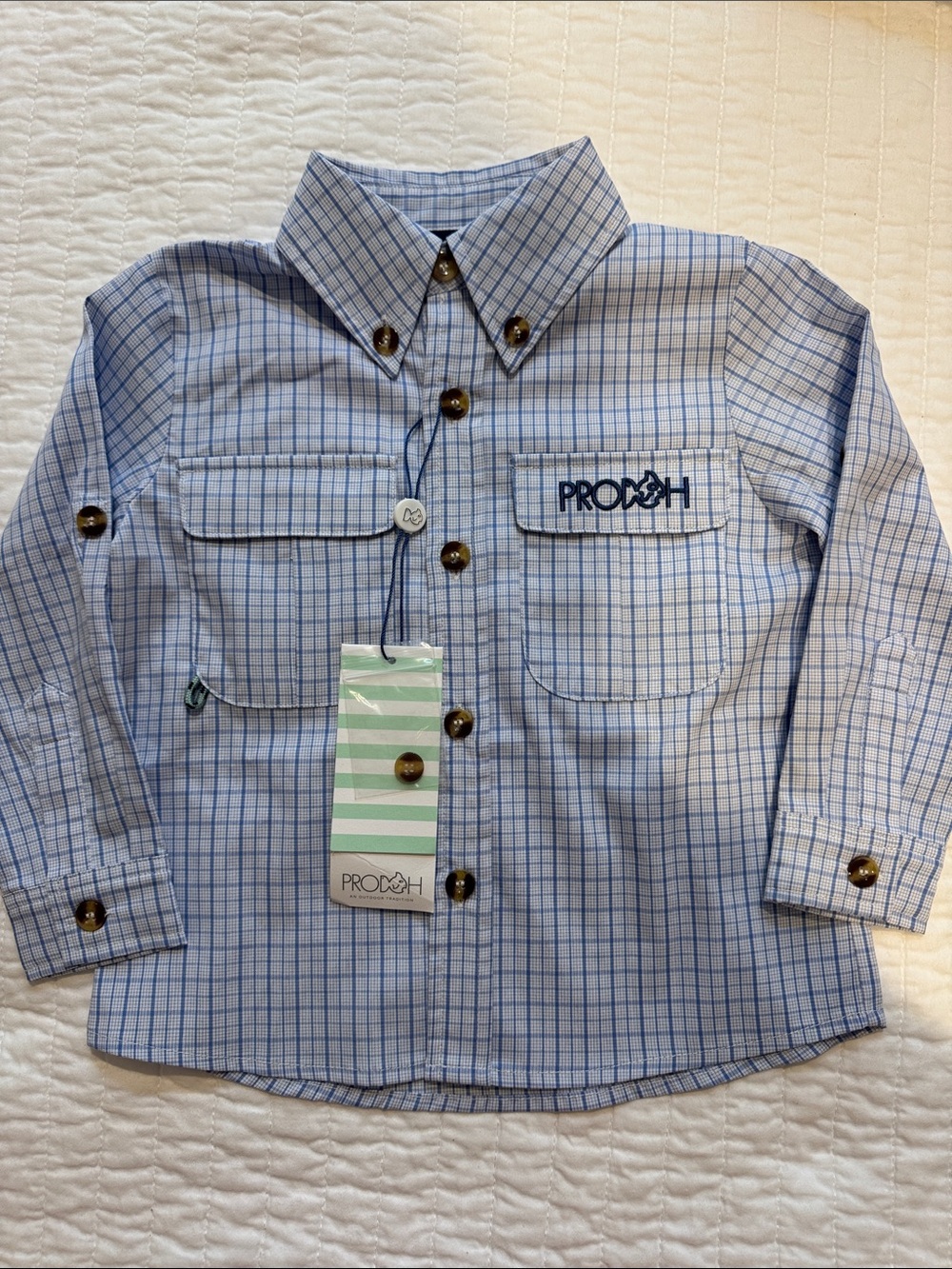 Proosh Blue Plaid Button-Down Shirt for Kids